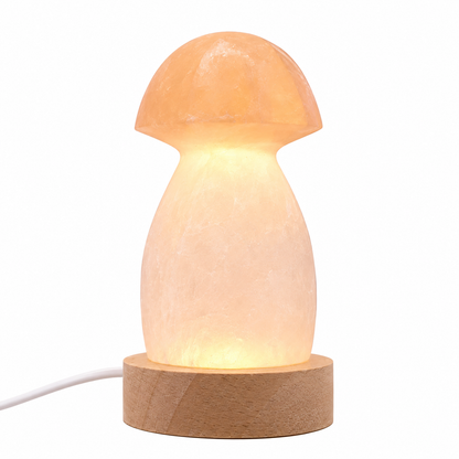 Cogumelo Selenite Branca e Laranja Natural