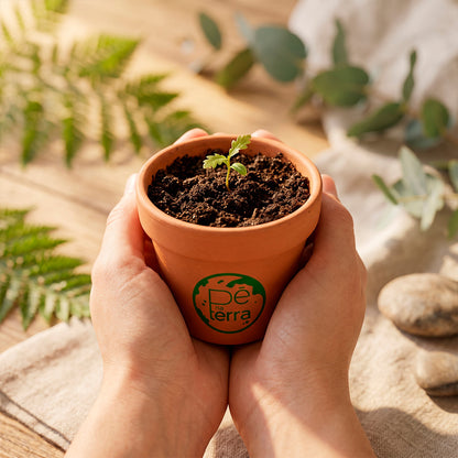 Donativo ao projecto #Pé na Terra - Plante uma Semente Connosco